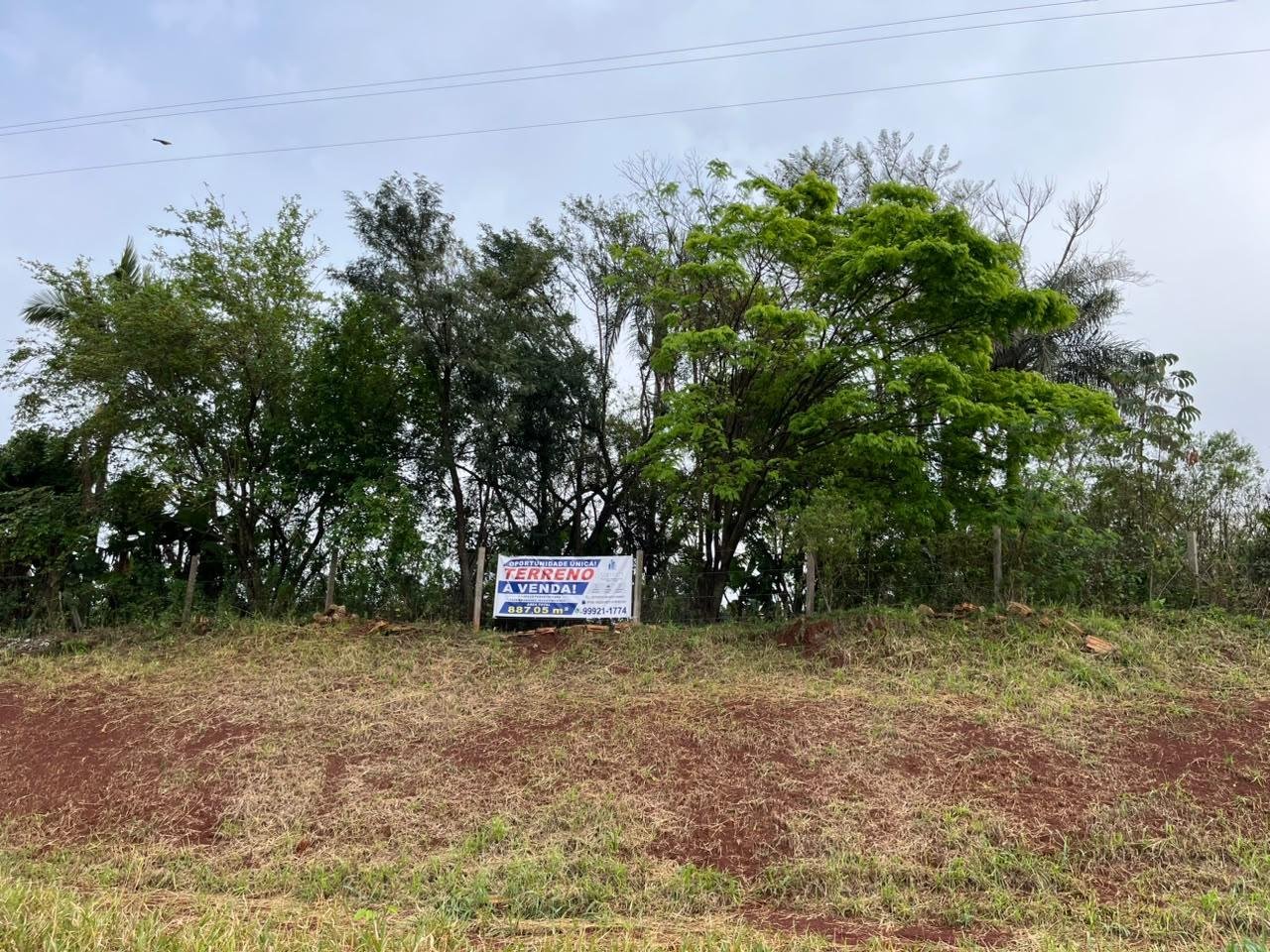 Apartamento para alugar